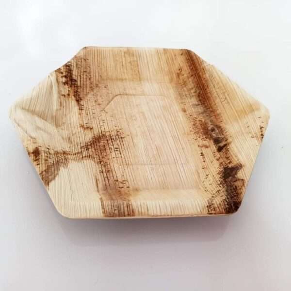 Eco Ceylon Areca leaf hexagon plate made out of areca palm Leaf also Known as kolapath pigan