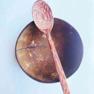 Coconut shell bowl with coconut shell spoon