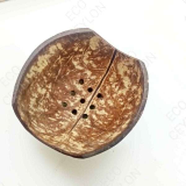 Coconut shell soap container