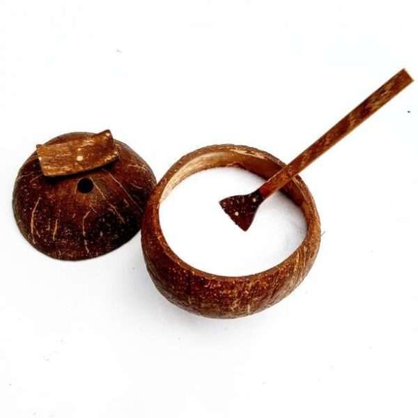 Eco salt container made out of coconut shell with a cover