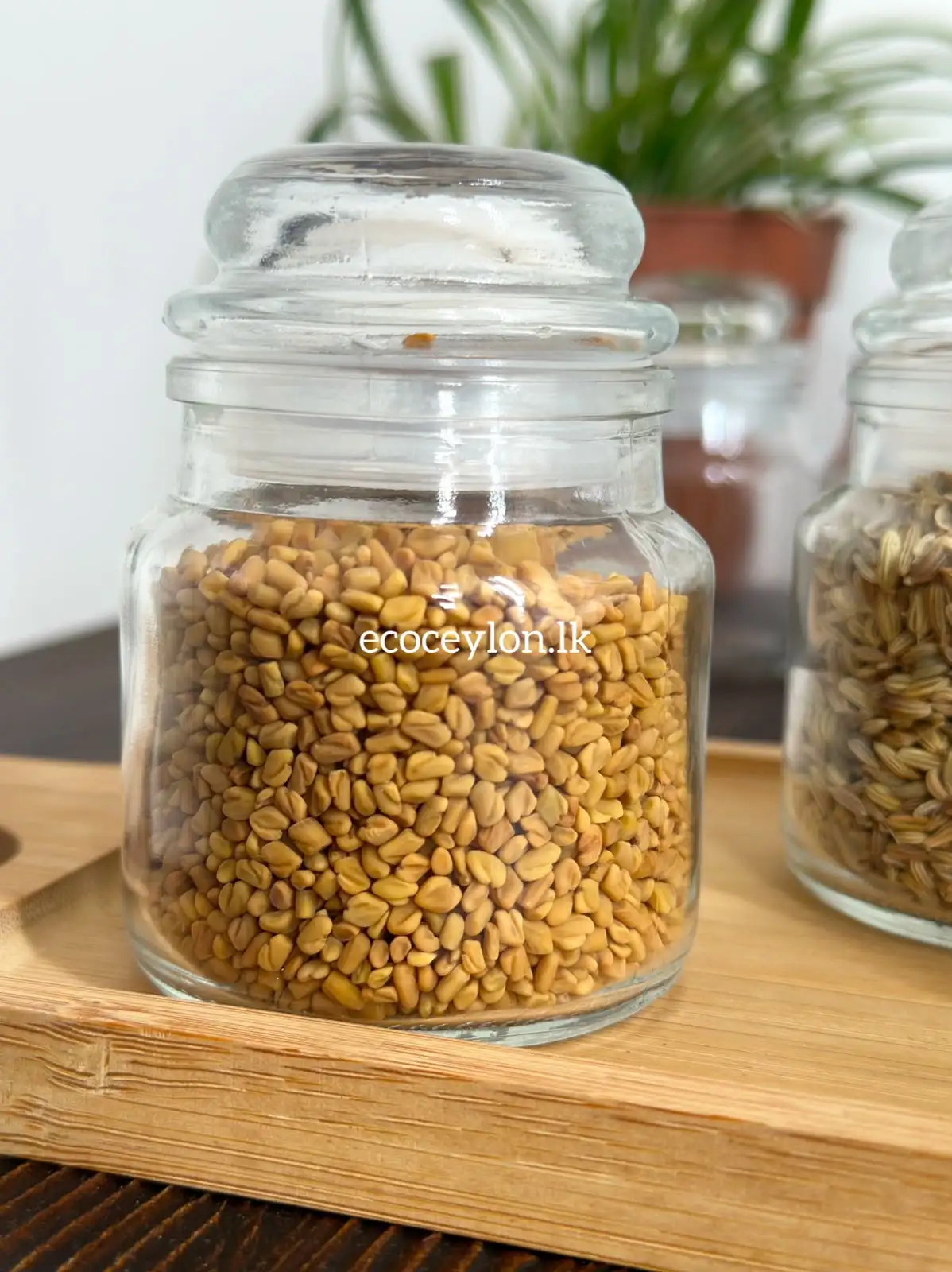 Premium Glass Spice Jar Set (Pack of 6) - Image 6