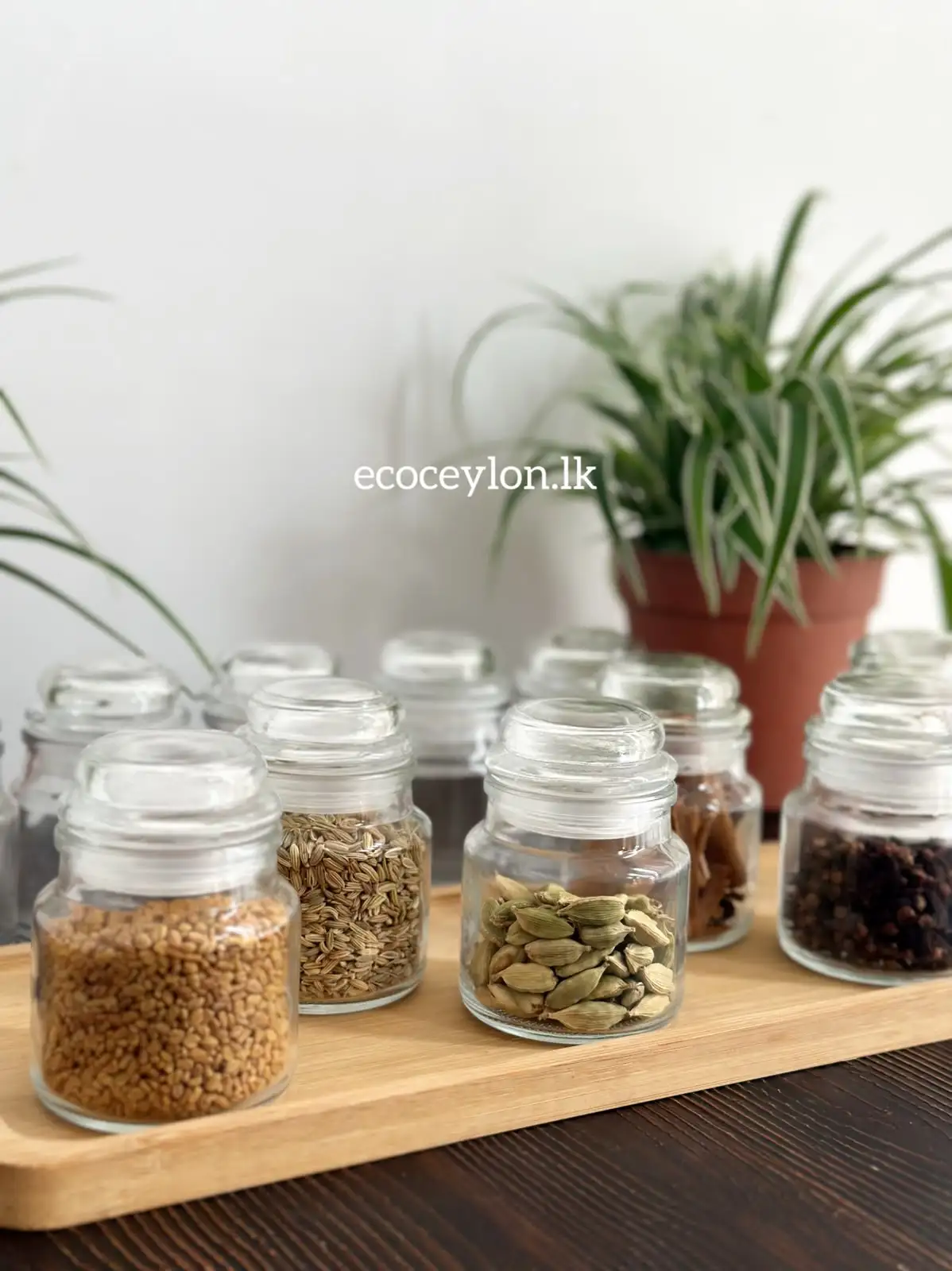 Clear glass spice containers filled with colorful curry powders
